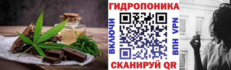 наркотики  Шенкурск  Canna-Cookies конопля 
