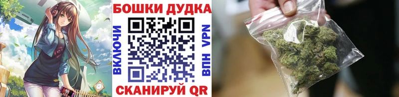 KRAKEN рабочий сайт  Шенкурск  Конопля индика 